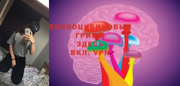 мескалин Коряжма