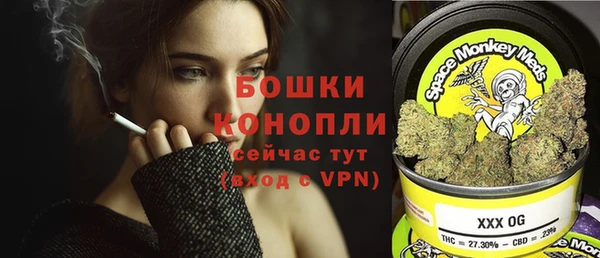 амф Костерёво