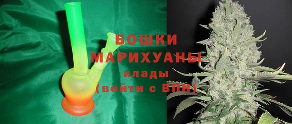 амф Костерёво