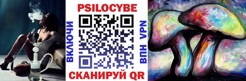 Купить закладки  Будённовск  Псилоцибиновые грибы ЛСД 
